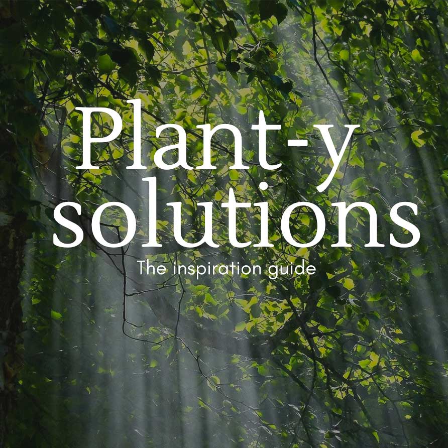 Plant-y Solutions